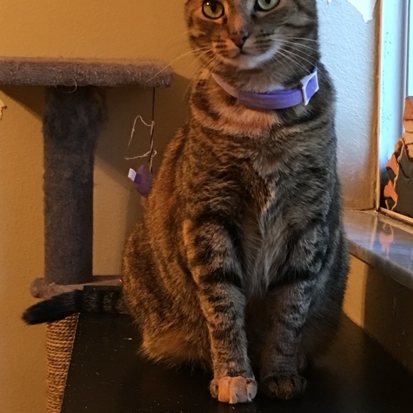 HANDMADE SHARE SHOW. DO NOT BID - Picture 2 of 14